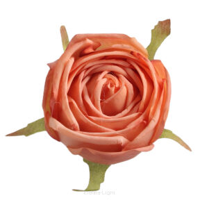 Róża wyrobowa SHTA-004 6cm