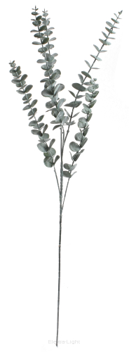 Eukaliptus gałązka P174-201-109