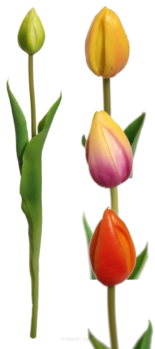 Tulipan pojedynczy gumowany CV07588 41cm
