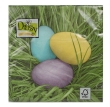 SDWL009801 jajka w trawie