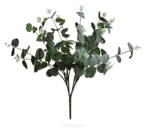 Bukiet eukaliptusa P167-20-2 47cm