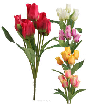 Bukiet tulipanów x7 TF531 45cm