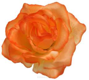 Róża satynowa wyrobowa S305