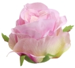liliowy róż
