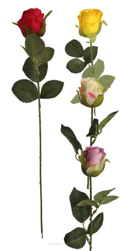 Róża pojedyncza 50cm KDGK170