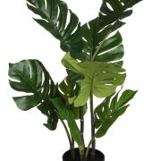 Monstera w doniczce 83cm CH03019883