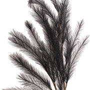 Pampas gałązka CV23335