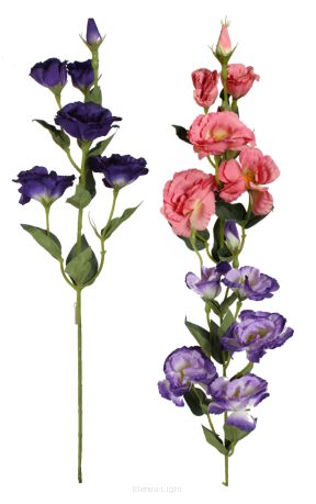 Eustoma gałązkowa XD006 85cm