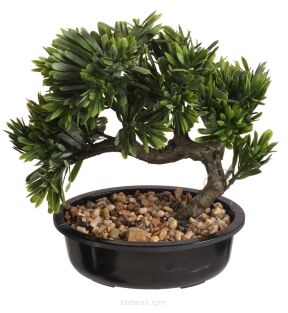 Bonsai w doniczce CV10503 23x23x13,5cm