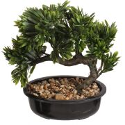 Bonsai w doniczce CV10503 23x23x13,5cm