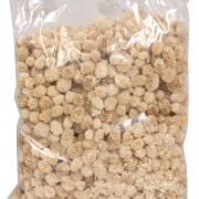 Casuarina pods wyb.-susz pacz500g Bleached I046WPACZ