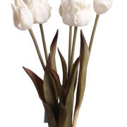 Bukiet gumowych tulipanów A163-5 h46
