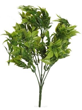 Ruscus bukiet A5-01038 33cm