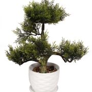 Bonsai w doniczce CV14744 37cm