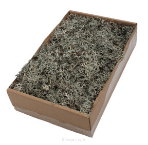 Mech Grey Moss 150g 495311 (22783)